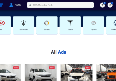 Paid car sales and rental website developed by a professional programmer